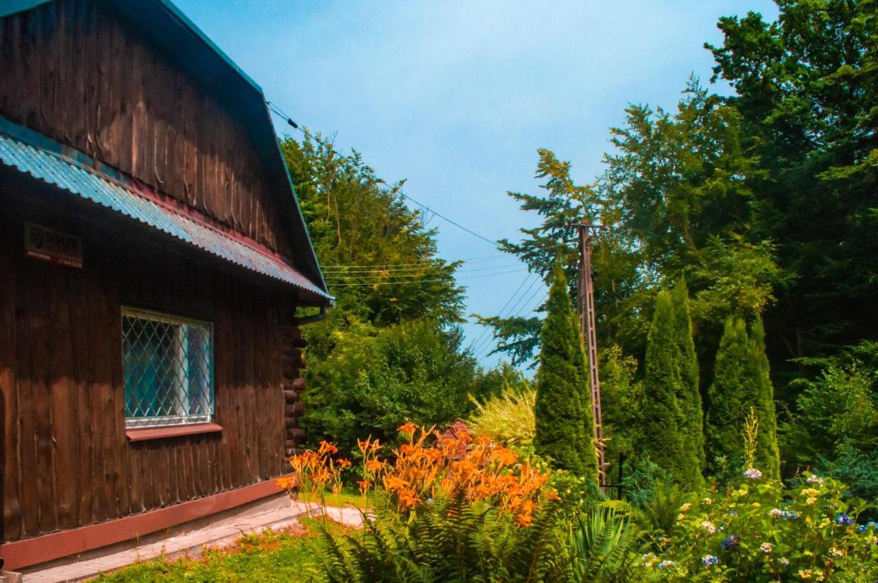 Ptasi Spiew Villa Futoma Dış mekan fotoğraf